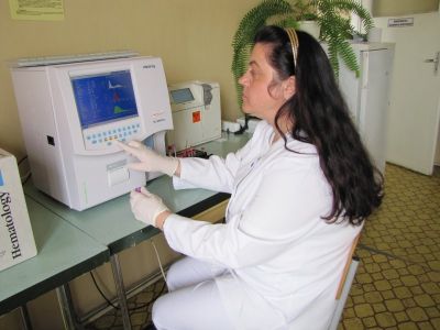 img 4633